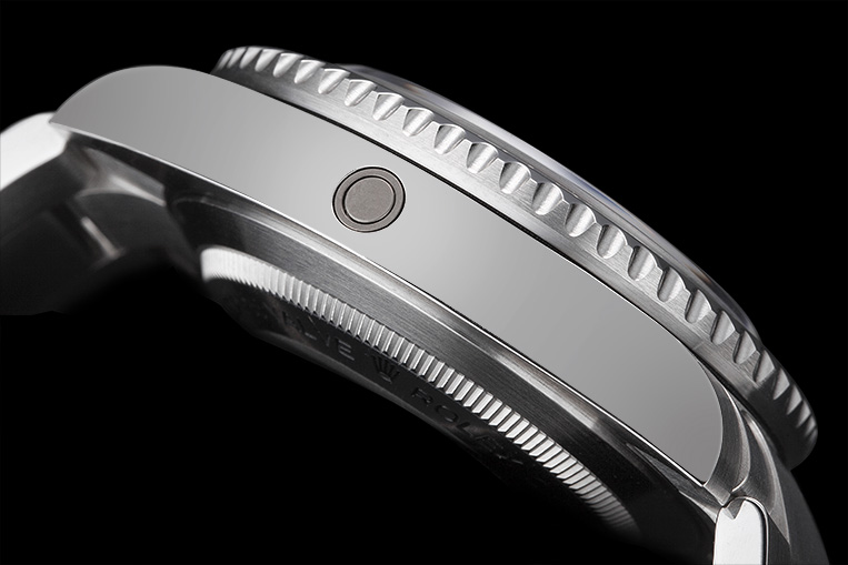 Sea-Dweller case